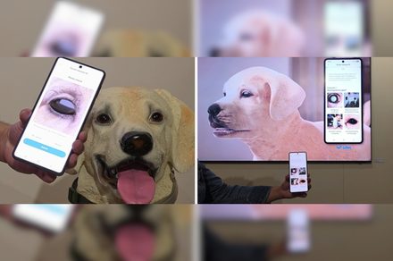 Samsung veut détecter les maladies de vos animaux avec l'IA