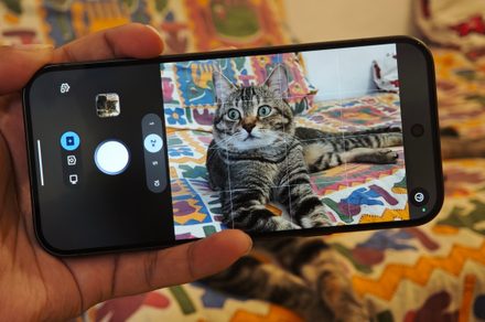 J'ai testé Magic Capture du Pixel 11 Pro sur mon chat