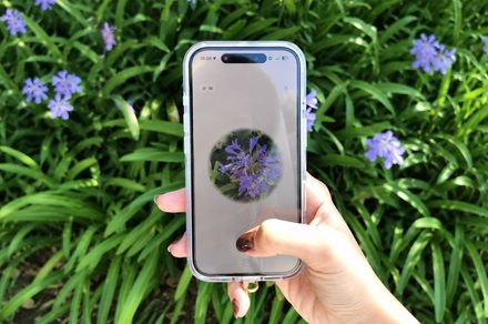 Flormie : l'appli qui transforme vos balades en chasse aux fleurs